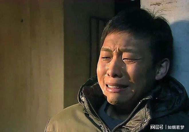 前舔主人眼泪宠物医生一句话全家懵了澳门新葡京边牧咬伤男孩被安乐死注射(图1)